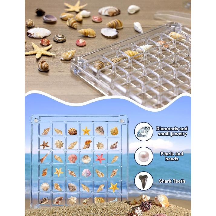 Seashell Display Box – 36 Grid Clear Acrylic Shell Holder & Organizer Case with Magnetic Lid for Sea Shell Collection, Crystals & Mini Collectibles