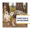 RUFFWEAR Official High & Light Leash - Lichen Green