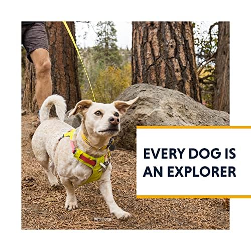 RUFFWEAR Official High & Light Leash - Lichen Green