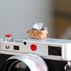 3D kreslený kryt sáněk fotoaparátu Roztomilý pro kočku DSLR Prachotěsný kryt sáněk pro DS