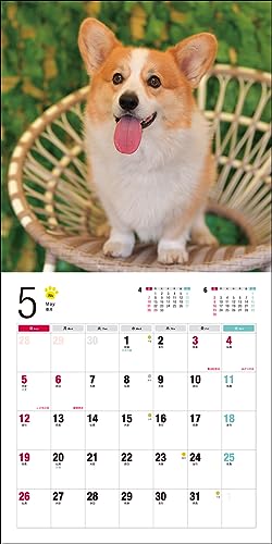 Calendar 2024 Corgi galez (Calendarul Seibundo Shinkosha)