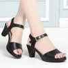 Fashion Elegant Women Fashion Black Comfort Summer Hollow Open Toe Square Heel Shoes Spring Buckle Strap Heel Fish Mouth Sandals