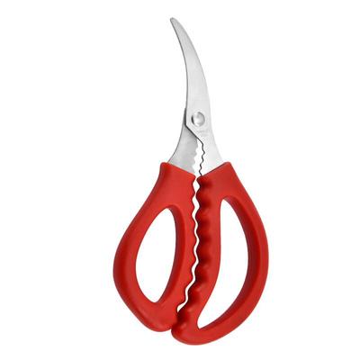 Abay Stainless Steel Seafood & Kitchen Scissors