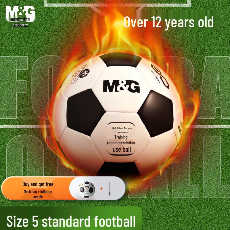 Morning Light Training Soccer Ball