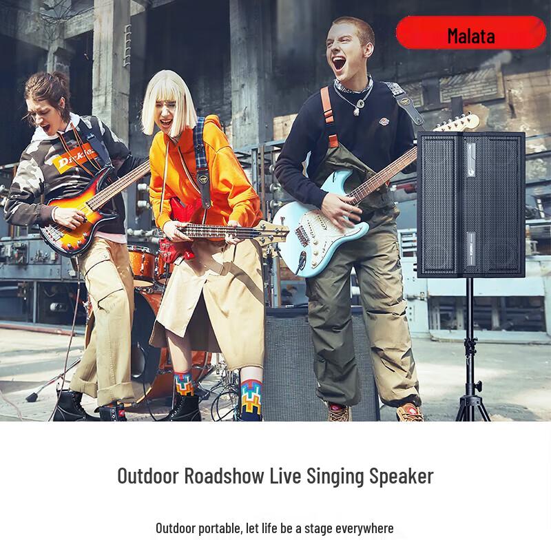 Malata M+9580 Portable High-Power Instrument Speaker (CN Version)
