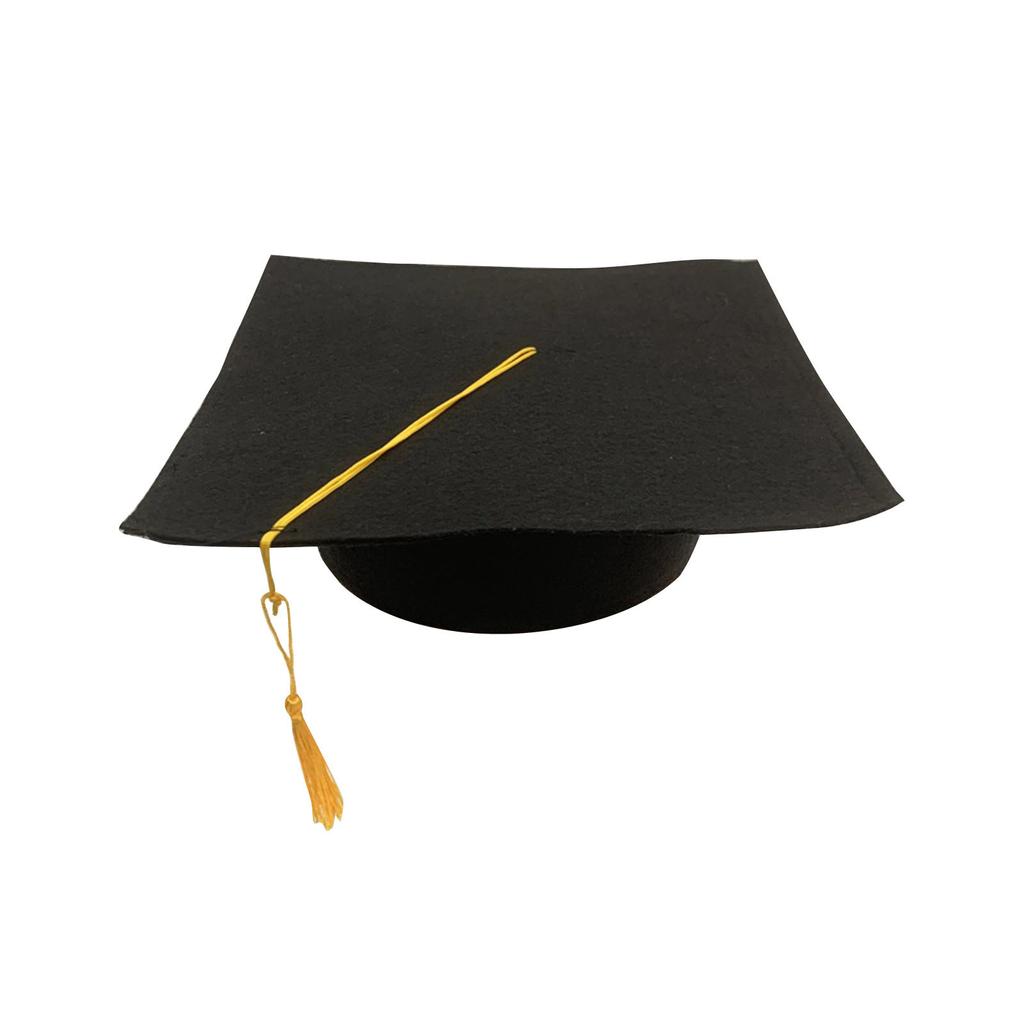 Neutral Adult Child Graduation Cap With Tassel High School