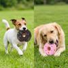 2 Pezzi Giocattolo Donut in Lattice Premium per Cani Giocattolo Donut Squeaky da Masticare per Cani Gioco Interattivo