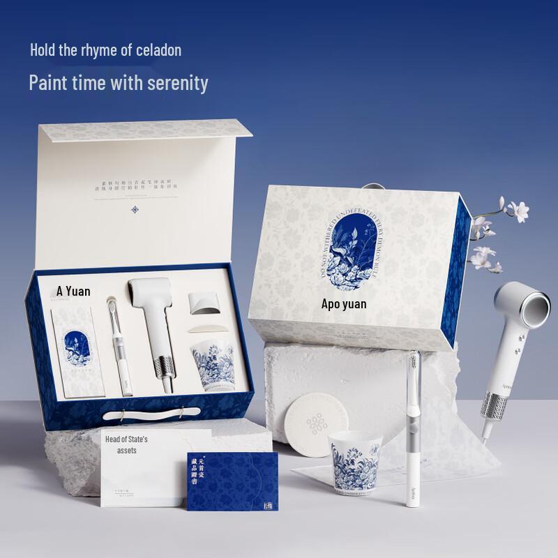 

Aiyou T24 Sonic Electric Toothbrush & Hair Dryer Gift Set