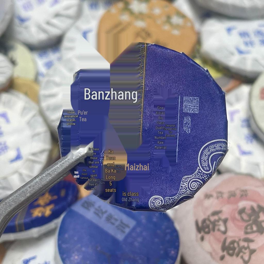 Assorted Mini Tea Cakes: 40 Varieties of Yunnan Pu-erh, Ripe, Glutinous Aroma, White, and Black Tea