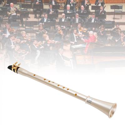 Clarinetto tascabile be Sax Mini sassofono clarinetto portatile con borsa per il trasporto Strumento a fiato