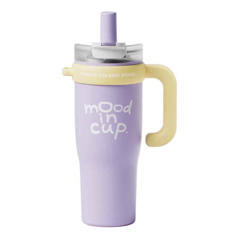 Wushengwu 316L Stainless Steel Insulated Straw Cup