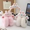 Rabbit Plush Ear Keep Warmer Winter Earmuffs for Women Fashion Outdoor Earflap Protection Ear-Muffs Ear Cover