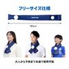Zamst Ice Pack for Heat Daily One Size Fits 387000 Neck, Cooling, Relief, Golf, Tennis, Life, All,
