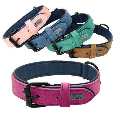 Köpek – Köpek Tasmaları ve Tasma Kayışları