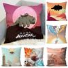 Avatar The Last Airbender Pillow Case Sofa Decorative Home Doublesided Print Plush Square Throw Pillow Cushion Cover