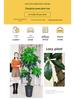 Large Potted Money Tree: Artificial Bonsai for Indoor Decoration