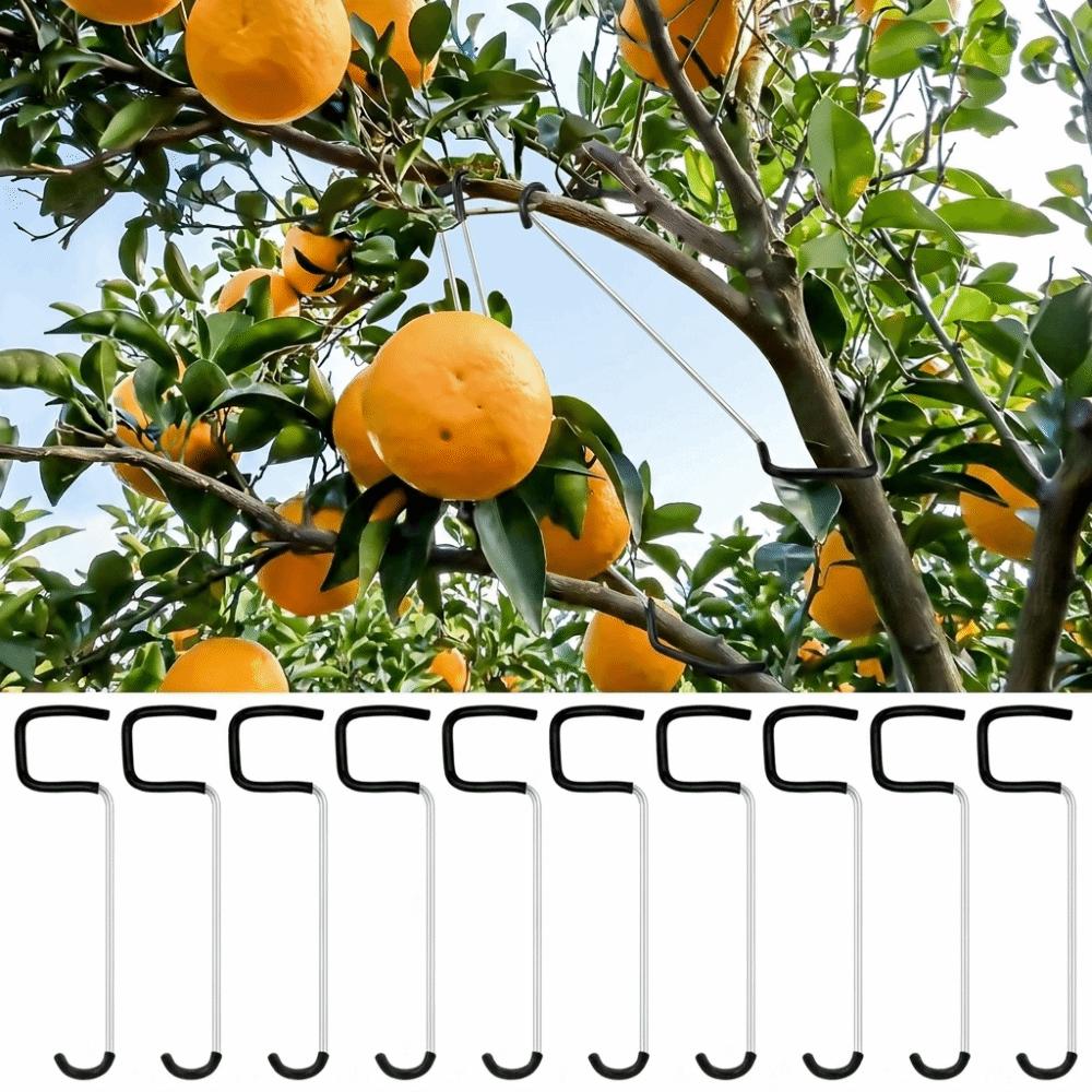10 PCS Rubber Hooks Branch Bender Metal Tree Branch Spreader Tree Shaping Limb Spreader  Fruit Trees