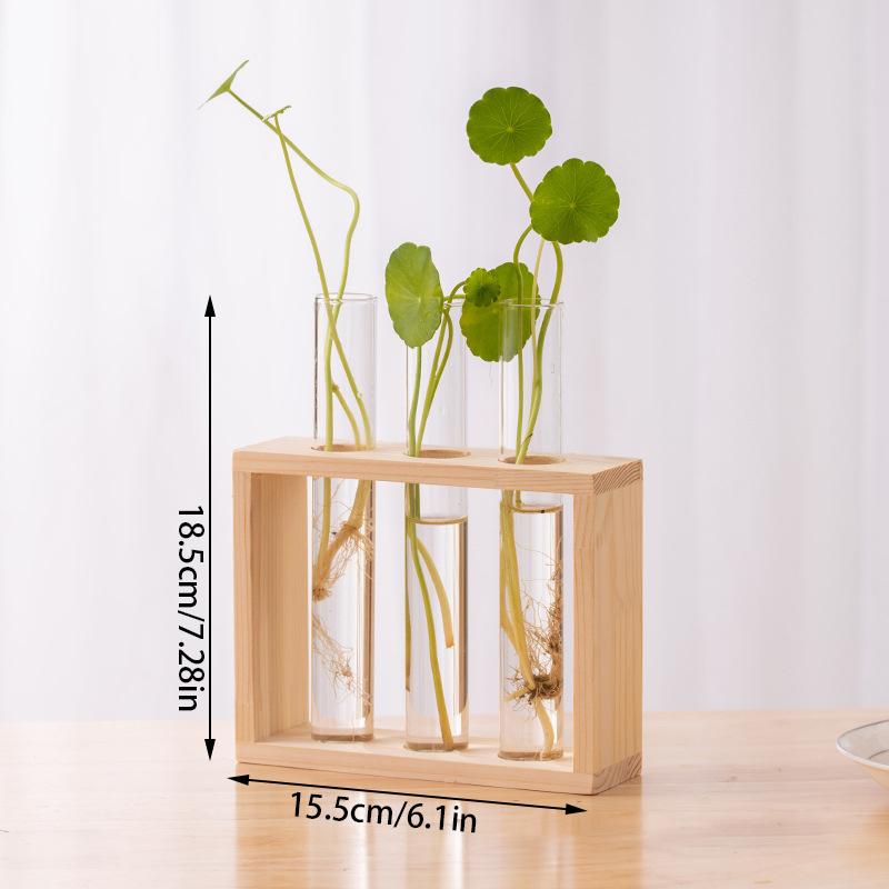 Small Fresh Hydroponic Green Vase Wooden Frame Vase Decorative Ornament Wall Mounted