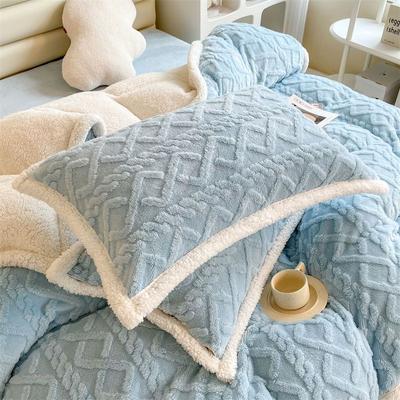 Winter Velvet Pillowcase with High Aesthetic Value, A Pair of Milk Velvet Coral Velvet Pillowcases, 48x74 Dormitory