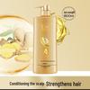 ShuLei Ginseng Ginger Shampoo