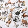 Animal World Photo Sticker Set - 50 Sheets for Kids DIY Notebook Decoration