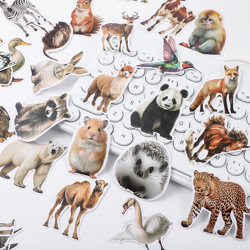 Animal World Photo Sticker Set - 50 Sheets for Kids DIY Notebook Decoration