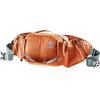 Backpack Deuter Pulse 3 Chestnut/teal (3910123-9319)