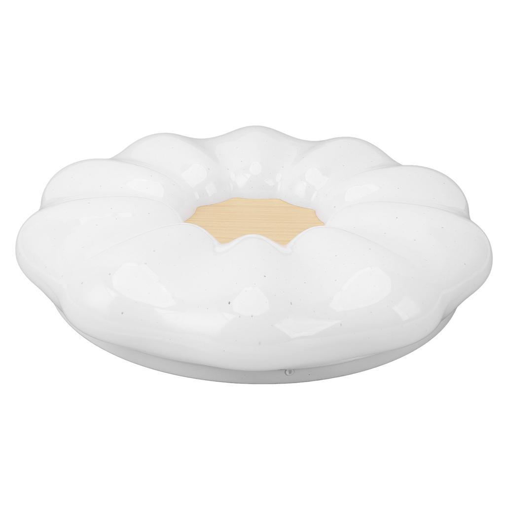 Flush Mount Ceiling Light Modern Ceiling Lamp 3 Color Temperature Dimmable Remote Control for