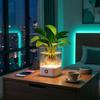 Farbwechselnde USB-betriebene Lampe Dimmbares LED-Umgebungslicht Mini-Aquariumlicht Geburtstagsgeschenk