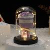Valentine's Day Immortal Flower Glass Cover Rose Ornament for Girlfriend Holiday Arrangement Rose Simulation Flower Home