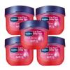 Vaseline Lip Therapy Rosebud, 5-Pack