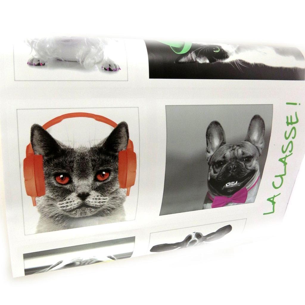 Les Trésors De Lily [L4992] - Aufkleberbogen „Eine Liebe zu Tieren“ Katzen Hunde (50x70 cm)