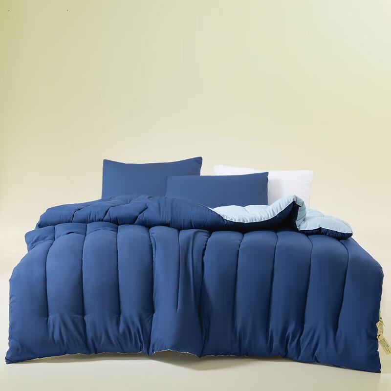 Belle Anna Soybean Fiber Spring Autumn Quilt