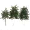 Wuli Artificial Cypress Leaf Branch