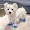 Scarpe per Cani Piccoli e Medi Cartoni Animati Anti Sporco Suola Morbida Antiscivolo