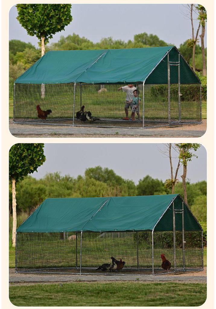 Extra Large Outdoor Rainproof Poultry Coop for Chickens, Pigeons & Peacocks