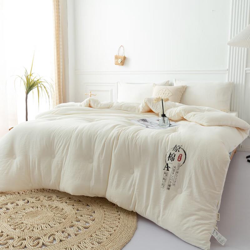 Youmeichen Class A Antibacterial Soy Fiber Winter Comforter