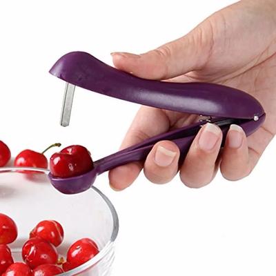 Neue 5'' Kirsche Obst Küche Pitter Remover Olive Corer Entfernen Pit Tool Seed Gadge Obst und Gemüse Werkzeuge Kirsche entkerner