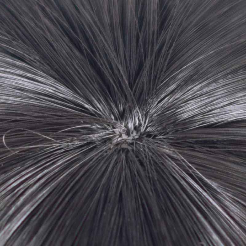 Blaues Locken-Stil Horaku Mawaki Perücke, Cosplay Perücke, Hitzebeständig, Schulveranstaltungsperücke mit Netz (Horaku Mawaki [Perücke])