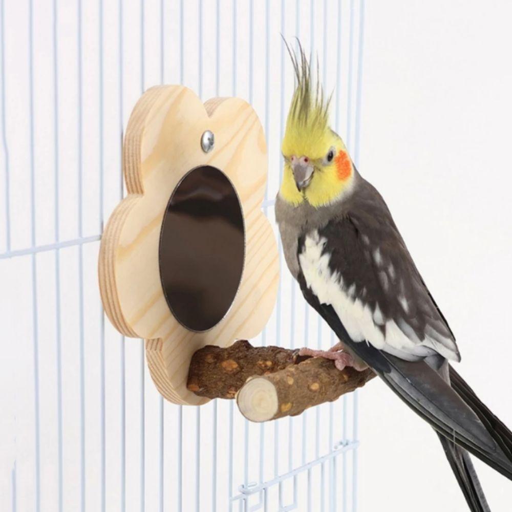 Wear Resistant Bird Perch Stand with Mirror Flower Shape Bird Branch Perch Rod  Grinding