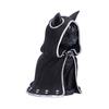 Figurine - nemesis now - zefur - 10 cm - résine - chat occulte mignon