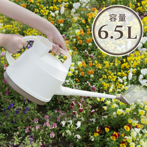 Iris Ohyama Watering Can Pitcher 6.5L IJ-65 Ivory