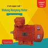 Wolong Nanyang Low-Voltage Explosion-Proof Motor for Underground Coal Mines