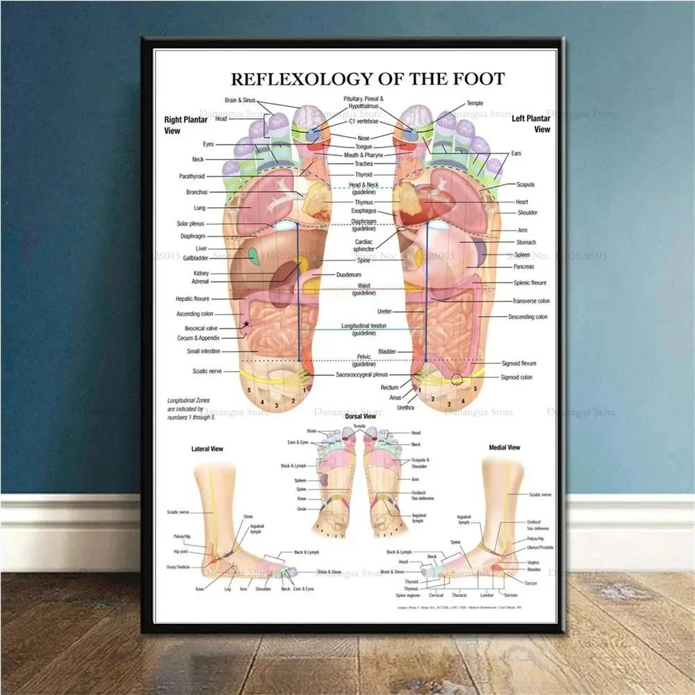 Trigger Points Anatomy Foot Reflexology Chart Study Canvas Painting Poster Prints Wall Art Picture Photo Gift Room Home Decor