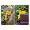 Colorful Mother Kitten Cats Sculpture Resin Hanging Piece Decoration for Outdoor Home Garden and Indoor Space
