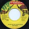 7inch Record PINCHERS  Increase My Knowledge NONE 30 Headley Ave. 1987 Jamaica Reggae Ska  Dub Used