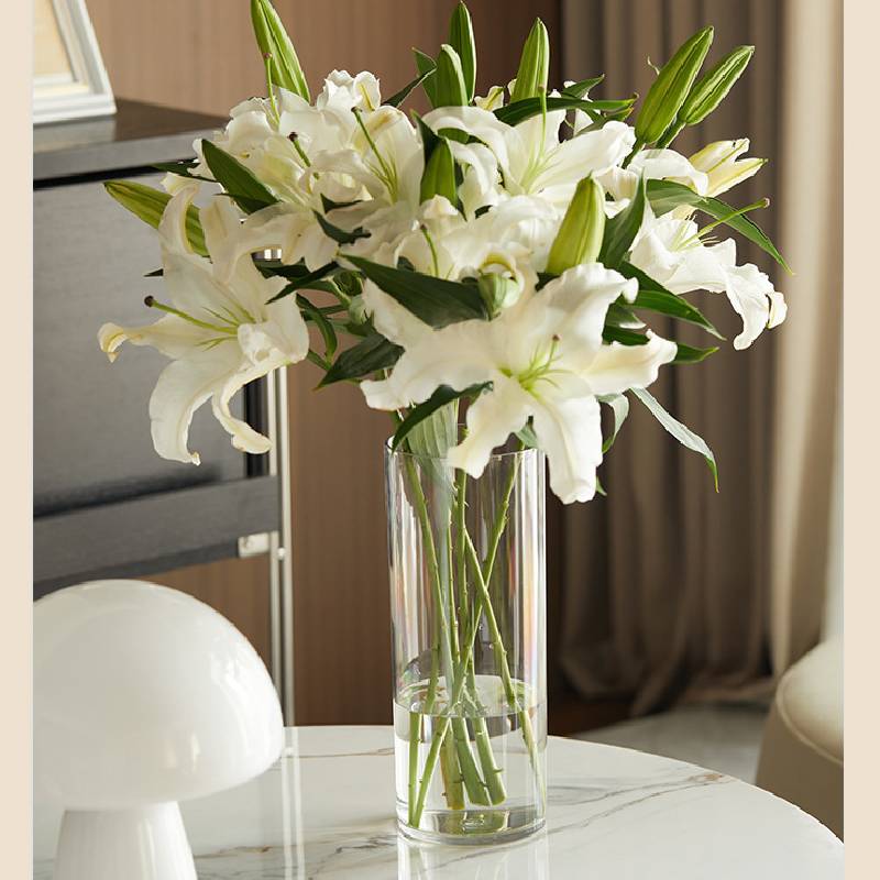 Transparent Flower Vases Plastic Cylinder Vases Terrarium Planter for Wedding Table Desktop Flower Arrangement Decoration