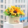 Simulation Bonsai Realistic Non-Withered Aesthetics Decorative Ins Rustic Sunflower Simulation Pot Table