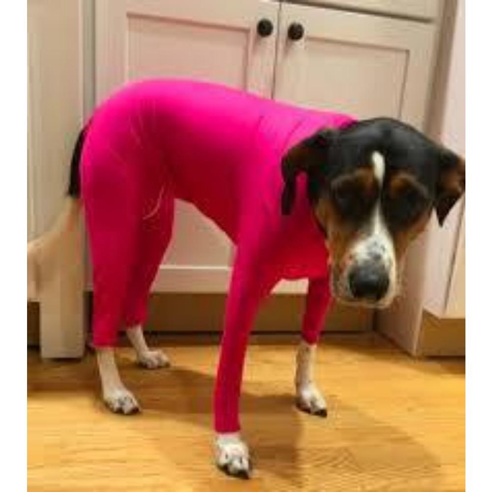 Medium and large cat all-inclusive dog four-legged autumn and winter dog four-legged clothes pet clothes cat elastic bottoming shirt