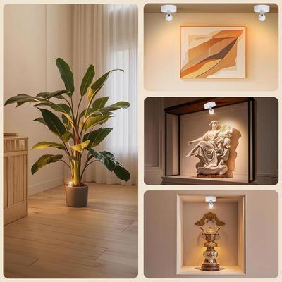 Wireless Uplighting For Plants Remote Control Rechargeable Accent Spotlights Battery Powered Uplighting Small Art Spotlights